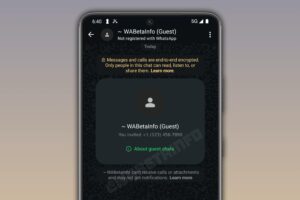 WhatsApp Guest Chats