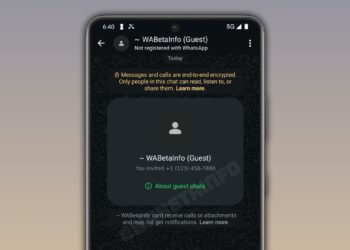 WhatsApp Guest Chats
