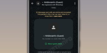 WhatsApp Guest Chats