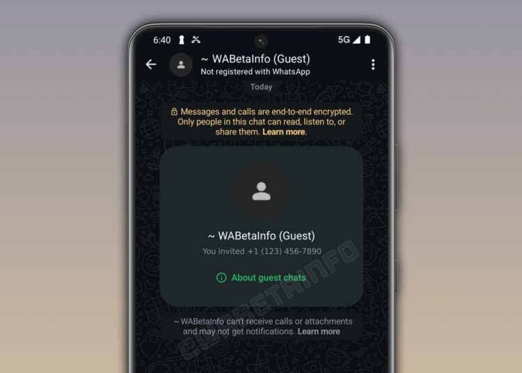 WhatsApp Guest Chats