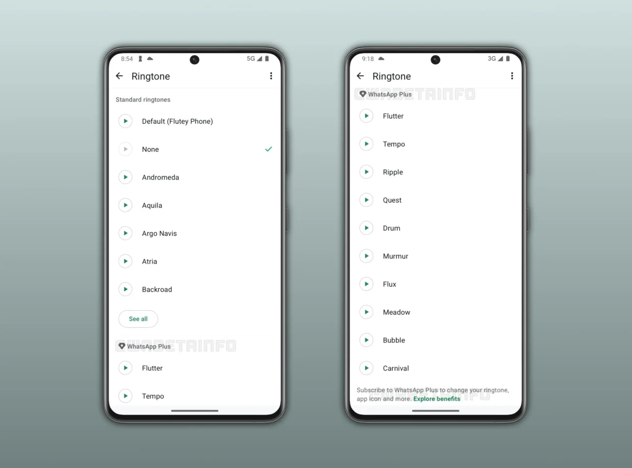WhatsApp Testing Premium Subscription