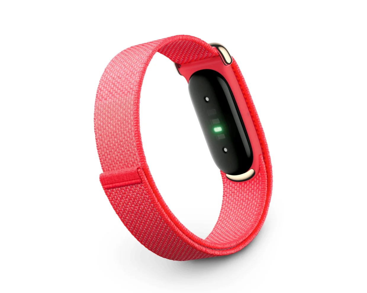 Google Fitbit Air