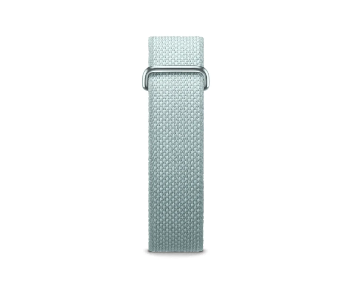 Google Fitbit Air