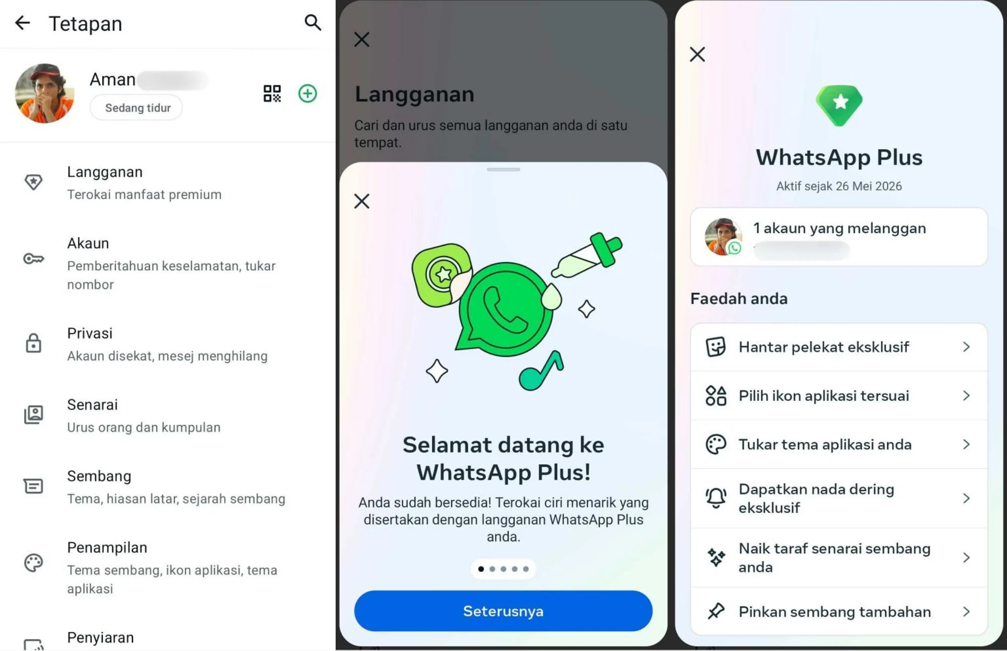 Meta WhatsApp plus