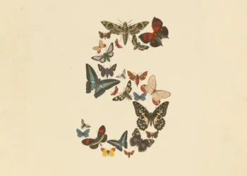 Anthropic Claude Fable 5
