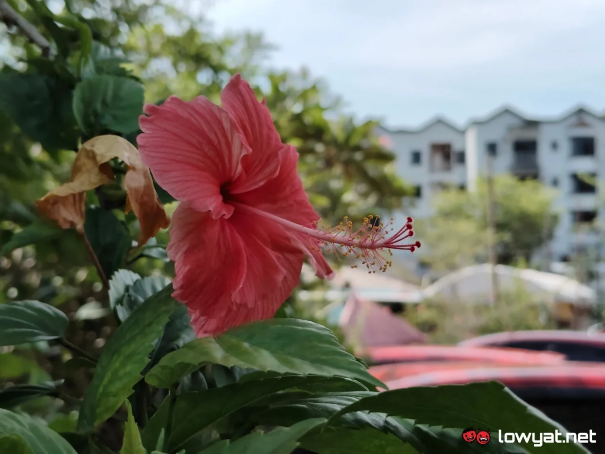 iQOO Z11 Review: Strong Performance Where It Matters Most 23 iqoo z11 review photos 01