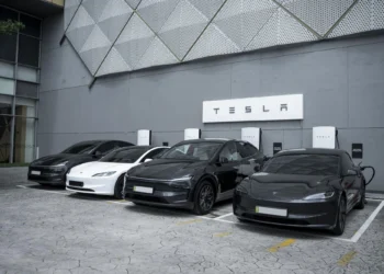 tesla cross country service model y l johor malaysia