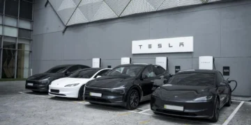 tesla cross country service model y l johor malaysia