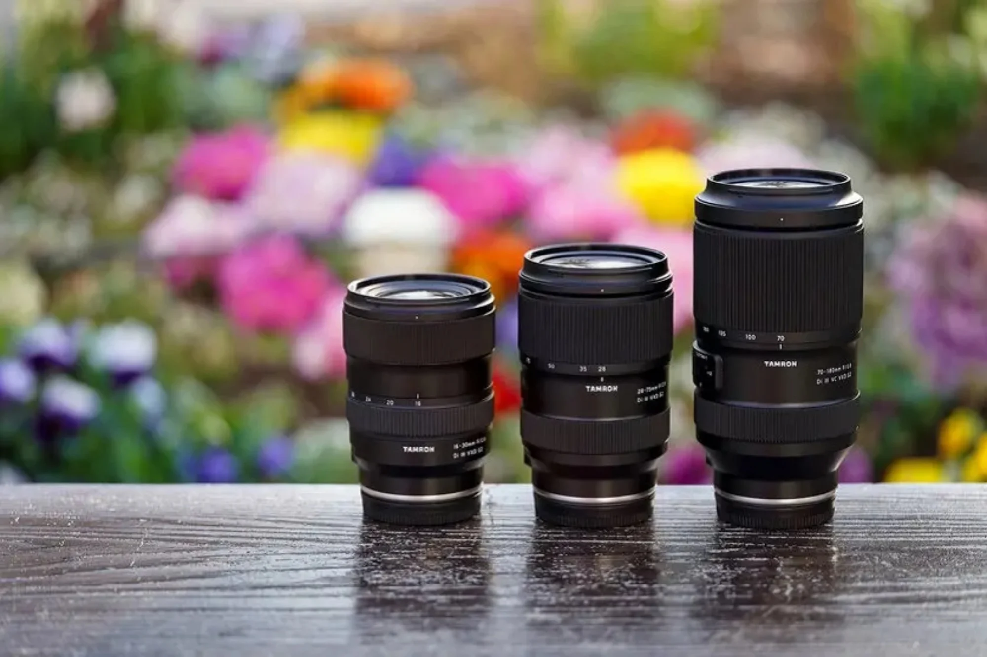 Sony Looking To Buy Lens Maker Tamron 4 tamron sony lenses