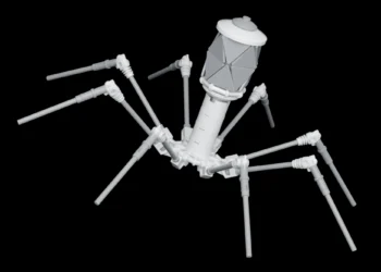 LEGO model of bacteriophage virus
