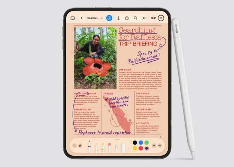 iphone duo launch