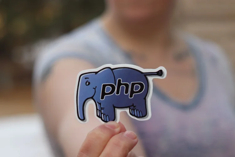 PHP Vulnerabilities Force Global Government Websites To Go Dark While Fix Is Rolled Out 1 Image: Realtoughcandy via Pexels