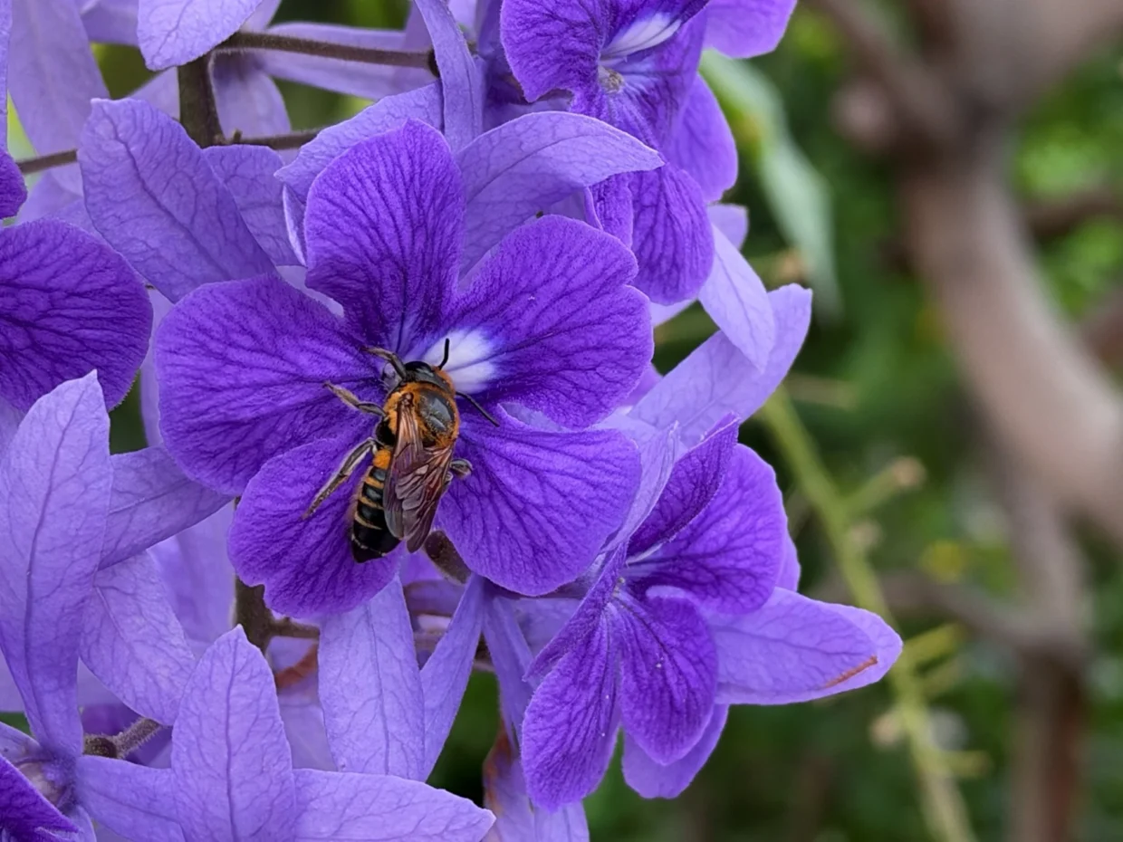 iPhone 18 Pro Max image sample